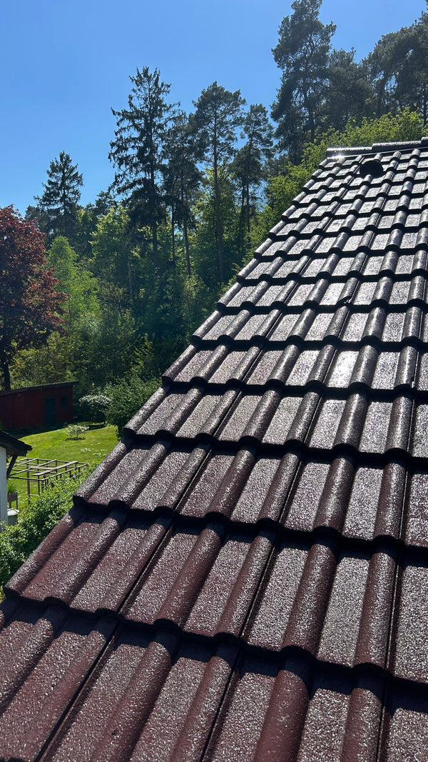 Dachreinigung  / Dachbeschichtung
