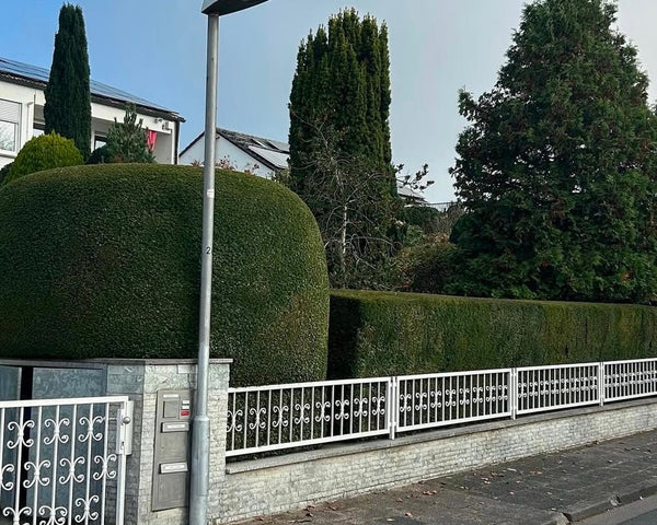 Gartenpflege / Grünschnitt